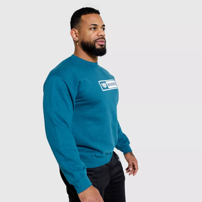 Férfi fitness pulóver Iron Aesthetics Heavy, legion blue-6