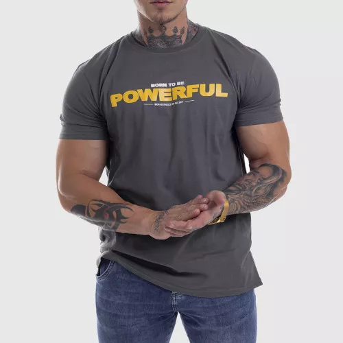 Ultrasoft póló Iron Aesthetics Powerful, szürke
