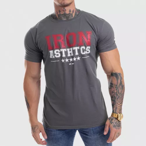 Férfi fitness póló Iron Aesthetics VARSITY, szürke